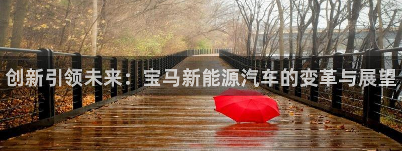 广东新宝电器gg
