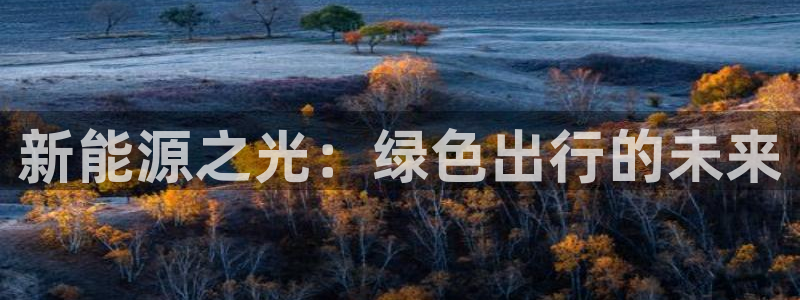 新宝gg—创造
