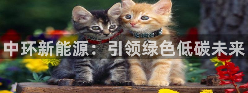 新宝GG最高返点多少：中环新能源：引领绿