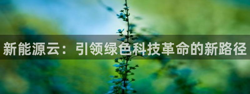 网站是新宝gg:新能源云:引领绿色科技革命的新路径